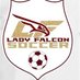 LFHS Girls' Soccer (@LFHSGirlsSoccer) Twitter profile photo