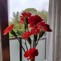 ゆ～い (@chiiyuii) Twitter profile photo