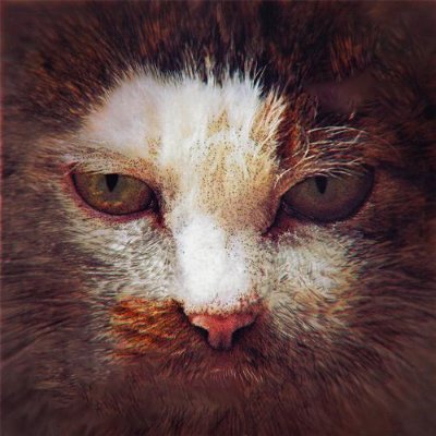 honorehawk's profile picture. Sometimes you win, sometimes you learn.