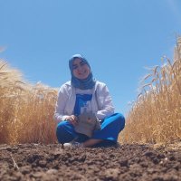 Hasnae Choukri (@hasnae_choukri) 's Twitter Profile