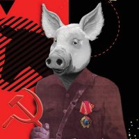 Just This (@just_this_nl) 's Twitter Profile