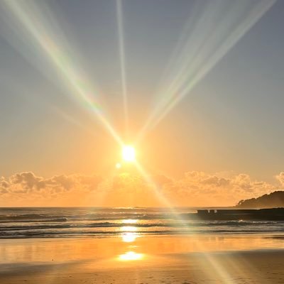 Thurn1Mike's profile picture. What happens to Politicians, Bureaucrats & Corporate heads that partake in Genocide?