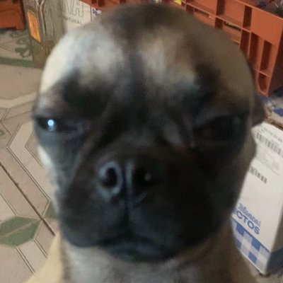 Jedi_Isaac25's profile picture. I like video games
Straight 
SMBZ is Awesome 
Just lookin to make some friends and have fun