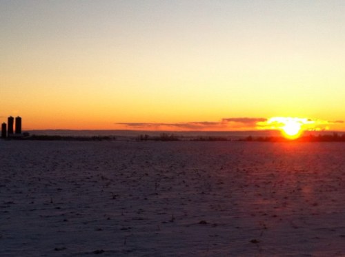 JuliaKassies's profile picture. 