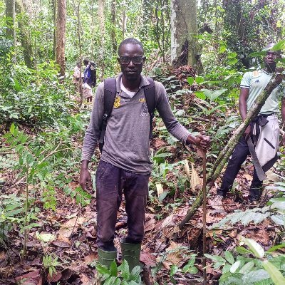 Géologue, spécialiste en études des tourbières tropicales. Université Marien NGouabi, Congo Brazzaville