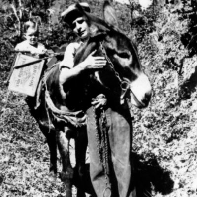 Swedish_Brian's profile picture. 