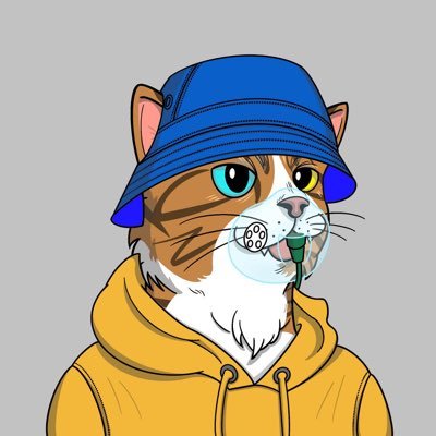 mnprkx's profile picture. UX Researcher