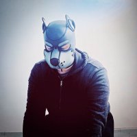 Baco The Pup (@puppybaco) 's Twitter Profile