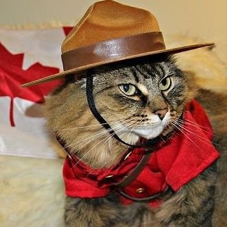 Hey bud! Im just your local canuck posting relatable Canadian content.