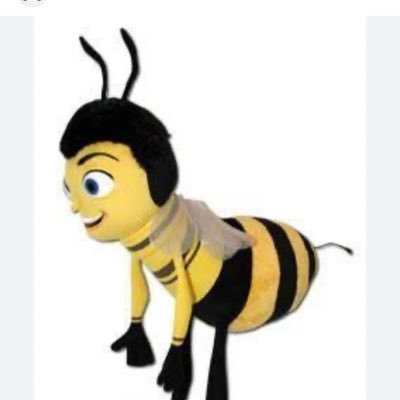 fridacenal's profile picture. 