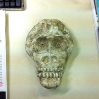 杉原環樹 (@tmksghr) 's Twitter Profile