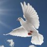 JesseClark02's profile picture. It is during our darkest moments that we must focus to see the light. 🌻🌻🌻
I  💙SEA and 💝 MOM

#Xpossum  #Sanctum @xrpstik  #xSTIK