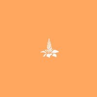 Amaranta (@restamaranta) 's Twitter Profile