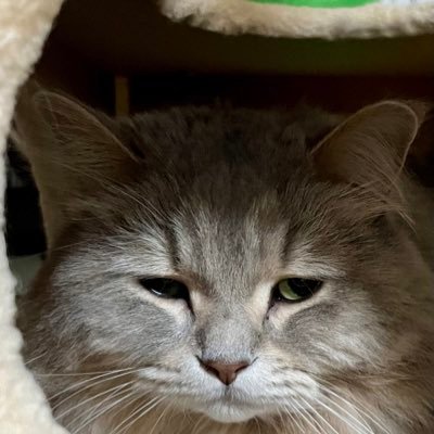 yuco_yomecchi's profile picture. サウナと怪談が好きです♡ゆる〜く活動してます♨️週末サウナー♨️普段はボケボケしてます🐮