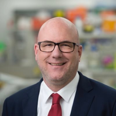 Professor @MonashUni, Director @Mon_Bio_Imaging, Scientist @ACBDresearch @MonashSTM, Head @NanobiotechLab - views are my own.