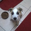 Randall Archer - @RandyArc - Twitter