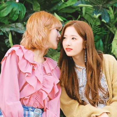 웆페스 보려고 만든 계정