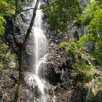 遠野まずうち (@gofer5963) 's Twitter Profile