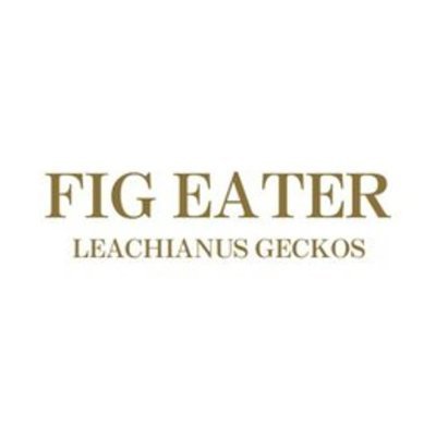 ジャイゲコ専門ブリーダー
FIG EATERのトオルです
イベント特化型
北海道第121910259号