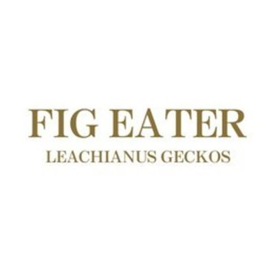 Leachies is a Blast!! BTW,not Beetle “Fig Eater” lol.
北海道第121910259号
「イベント特化型」
ジャイゲコ専門ブリーダー　FIG EATERのトオルです。