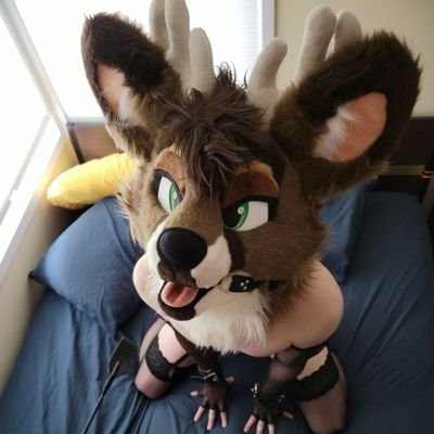 Trying my best to be a full time service buck. Actually a wolf? 🔞. 34, He/Him, Bi/Pan. @FuckWithKey is my buck (the suit is his). Playful.