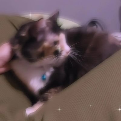 issabtme's profile picture. Pengiriman dr Surabaya