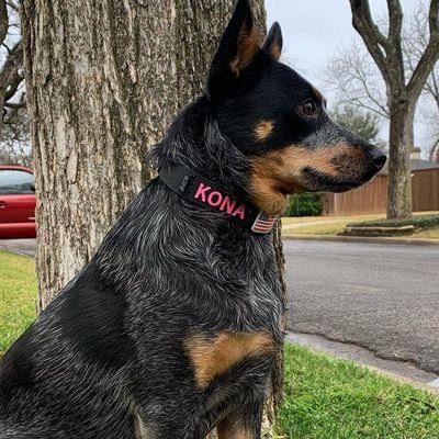 Noni14099289's profile picture. 