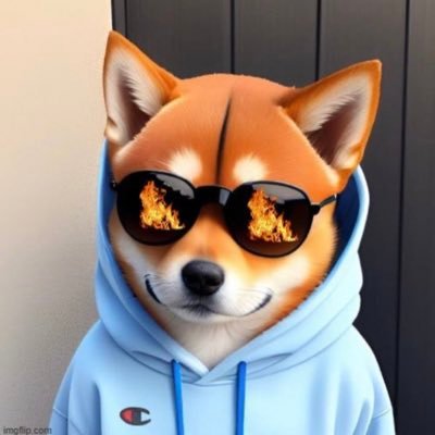 RollenFLAME's profile picture. AVENUE ANIMAL