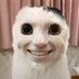 ■_■ (@themagictool) Twitter profile photo ■_■ (@themagictool) Twitter profile photo