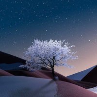 Aydanca (@aaydanca) 's Twitter Profile Photo Aydanca (@aaydanca) 's Twitter Profile Photo