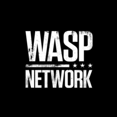 Being part of the espionage network brings a lot of problems. Learn about this story with the participation of Annie Winerourse (@notesvuitton) #WaspNetWorkRP