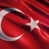 Halo (@halimhan6) Twitter profile photo