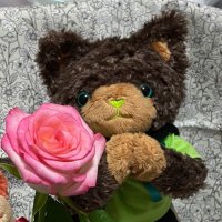 はるさや (@halusaya1) 's Twitter Profile Photo はるさや (@halusaya1) 's Twitter Profile Photo