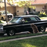 floyd turbo (@floydturbo3) 's Twitter Profile