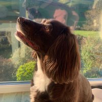 Elizabeth Smith (@lizsmithyorks) 's Twitter Profile Photo Elizabeth Smith (@lizsmithyorks) 's Twitter Profile Photo