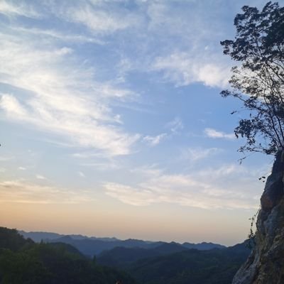 lijian483095833's profile picture. 