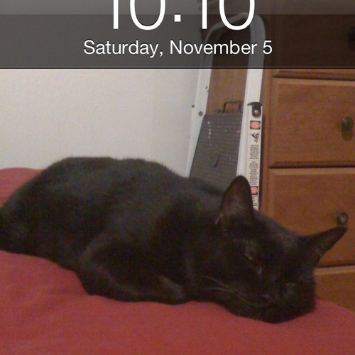 lezvampire's profile picture. 