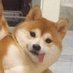 ๊ฐ๋ง (@heyy54661097) Twitter profile photo ๊ฐ๋ง (@heyy54661097) Twitter profile photo