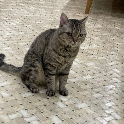 kun811527026475's profile picture. バウンティー垢 同盟FILM⭐︎BLACK バウ名こそこそ→ぐわぁ