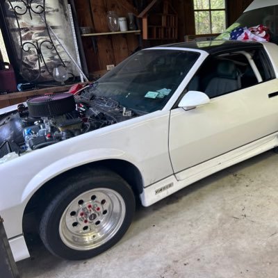 alexgor91045900's profile picture. 