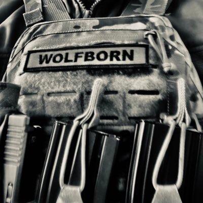 Sigmaborz22's profile picture. Департамент військової розвідки МО ЧРІ