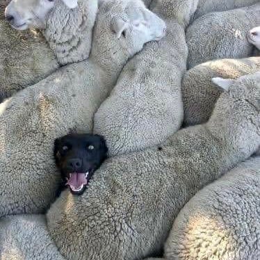 EivindHarald's profile picture. 