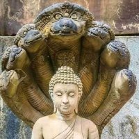 @TRatnakar (@jyotibaperiyar) 's Twitter Profile
