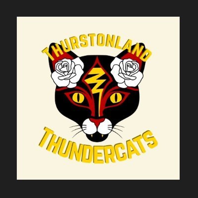 Welcome to the brand new page for Thurstonland Thundercats . 
We are a friendly village cricket club with a thriving women and girls section.