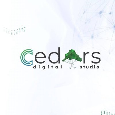 cedars_studio's profile picture. We provide innovative strategies and solutions for forward-thinking businesses.
