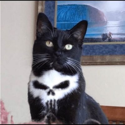 SuperMetalBro's profile picture. Twitter is something else.