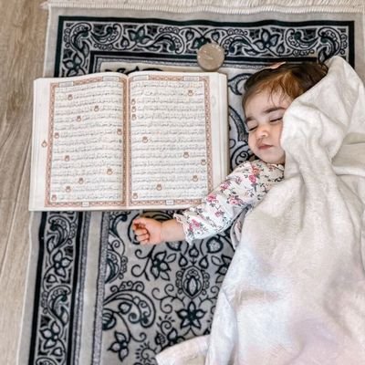 bndr86225777658's profile picture. مساااافر ومدري لاوين اروح ،⁦☹️⁩