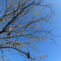 Esra Kislal Becin (@becinkislalesra) 's Twitter Profile Photo