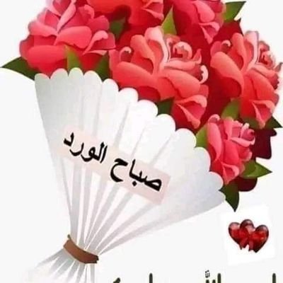 DawoodAljb15499's profile picture. 