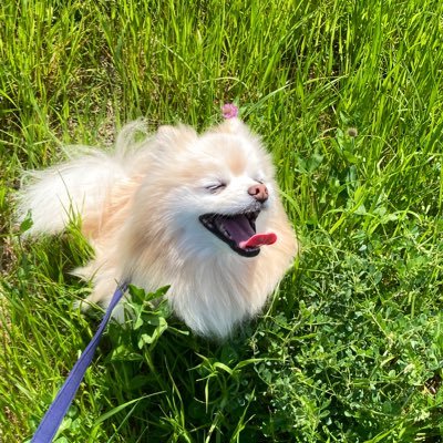 片っぽ靴下さんのプロフィール画像